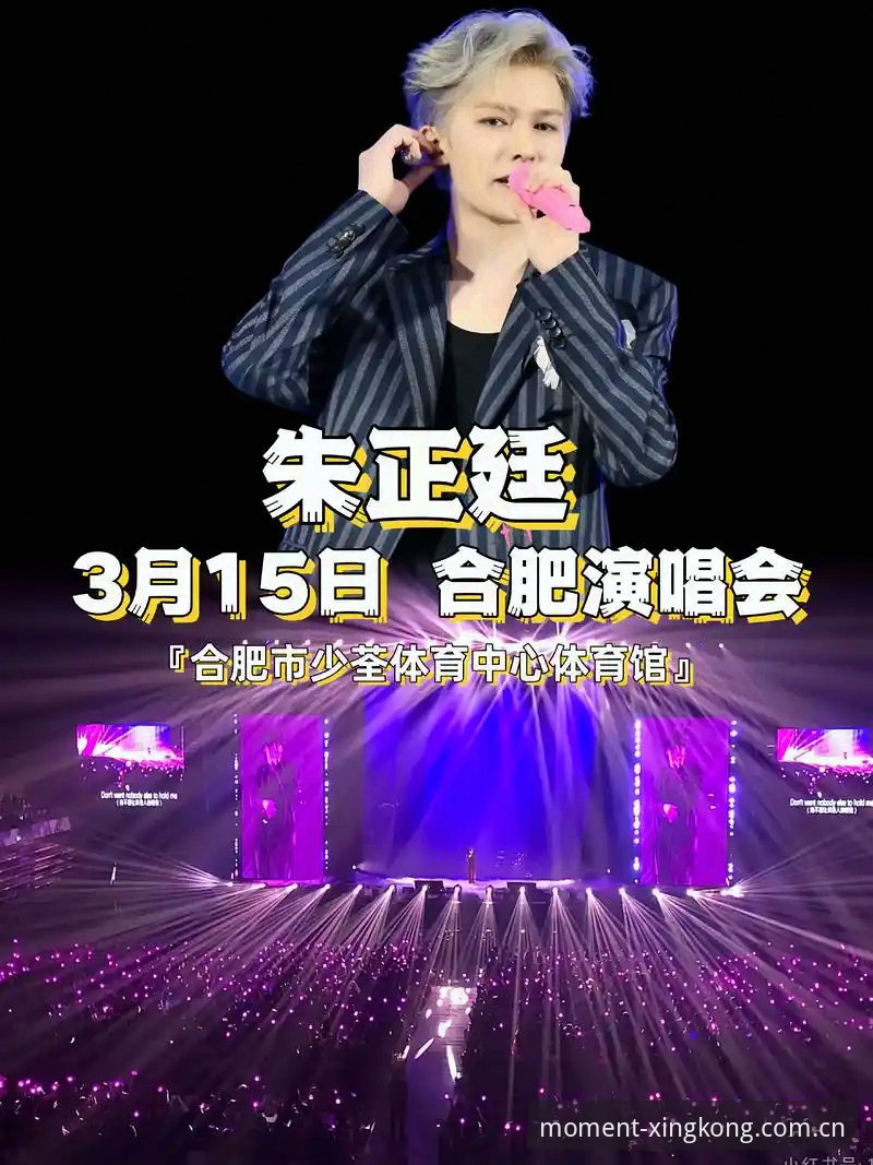 资深用户分享：星空体育全站2025新版APP下载的实用心得与常见问题解答