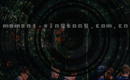 翻开书页，一束阳光洒在泛黄的纸面上